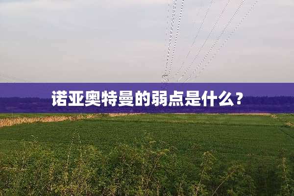 诺亚奥特曼的弱点是什么？