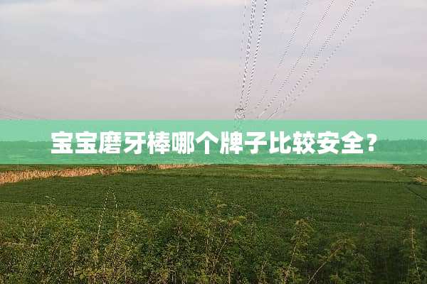 宝宝磨牙棒哪个牌子比较安全？