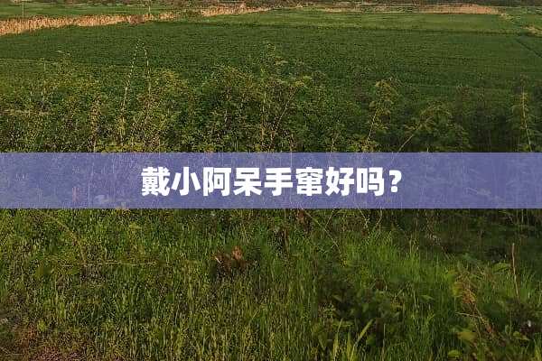 戴小阿呆手窜好吗？