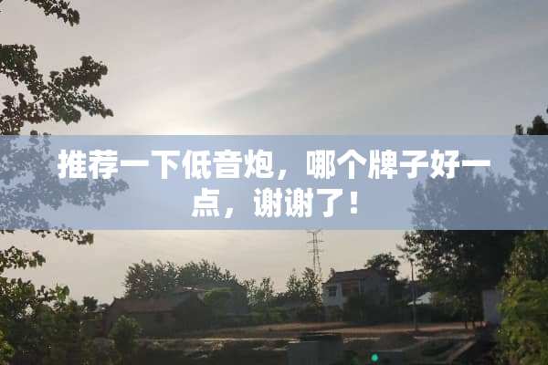推荐一下低音*，哪个牌子好一点，谢谢了！