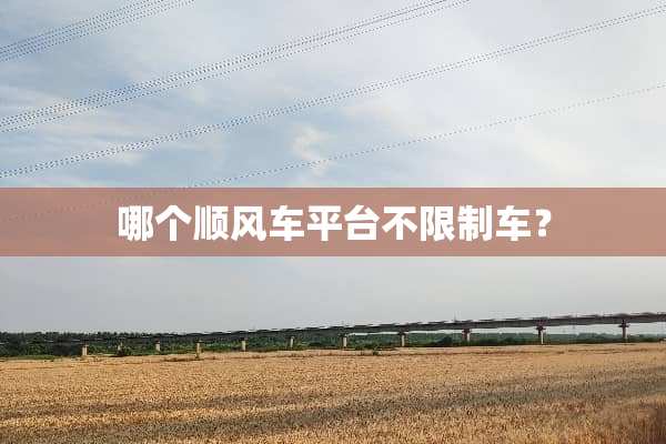 哪个顺风车平台不限制车？