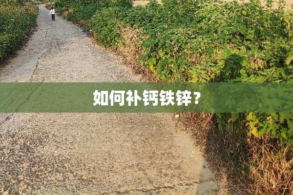 如何补钙铁锌？