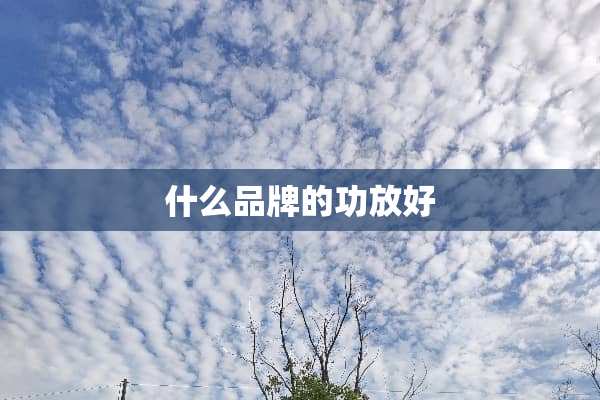 什么品牌的功放好
