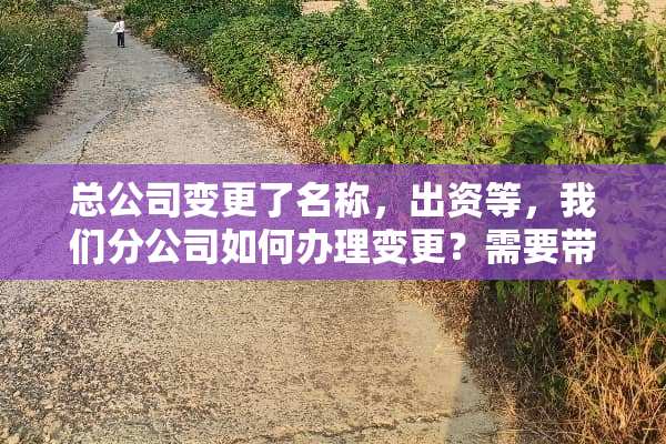 总公司变更了名称，出资等，我们分公司如何办理变更？需要带什么资料？