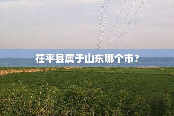 茌平县属于山东哪个市？