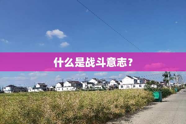 什么是战斗意志？