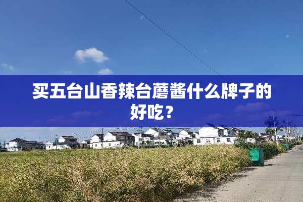 买五台山香辣台蘑酱什么牌子的好吃？