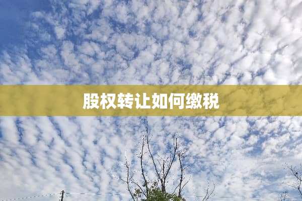 股权转让如何缴税
