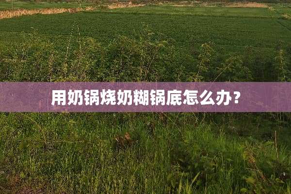 用奶锅烧奶糊锅底怎么办？