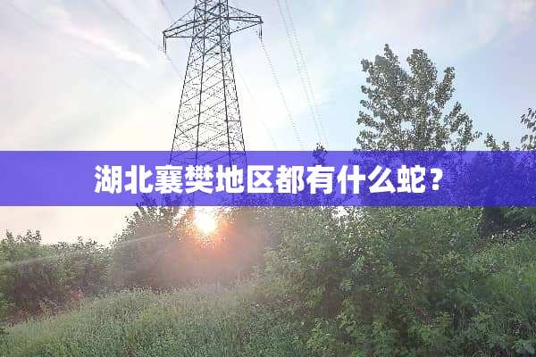 湖北襄樊地区都有什么蛇？