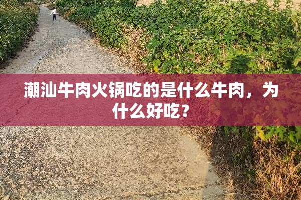 潮汕牛肉火锅吃的是什么牛肉，为什么好吃？