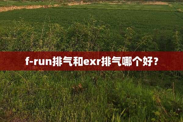 f-run排气和exr排气哪个好？