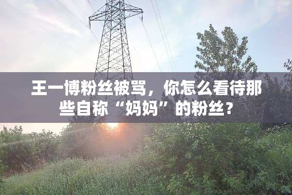 王一博粉丝被骂，你怎么看待那些自称“妈妈”的粉丝？