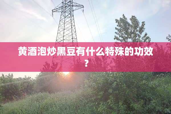 黄酒泡炒黑豆有什么特殊的功效？