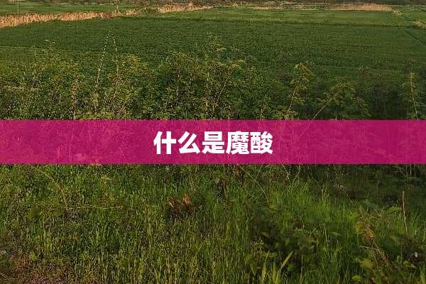 什么是魔酸