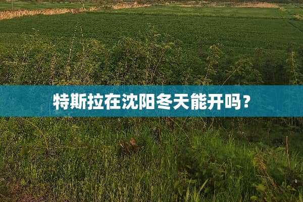 特斯拉在沈阳冬天能开吗？