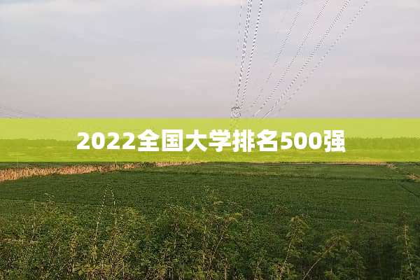 2022全国大学排名500强