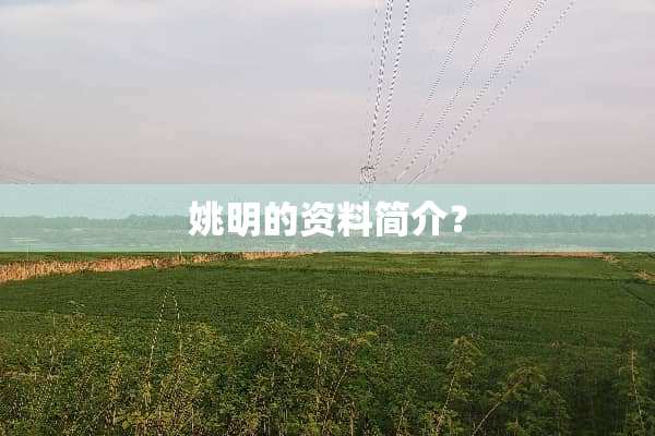 姚明的资料简介？