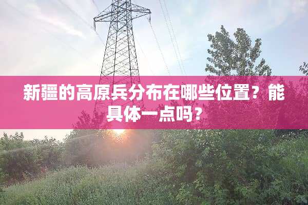 新疆的高原兵分布在哪些位置？能具体一点吗？