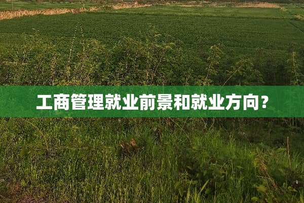 工商管理就业前景和就业方向？