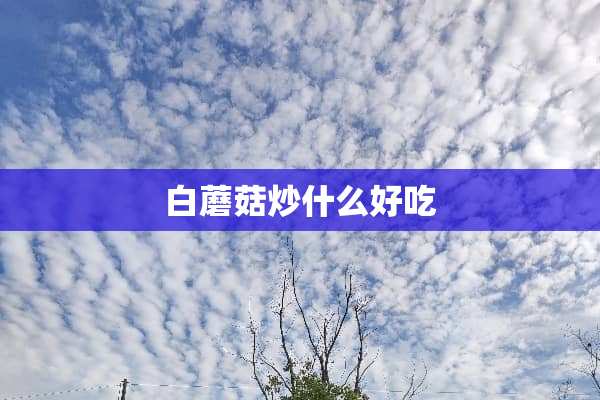 白蘑菇炒什么好吃