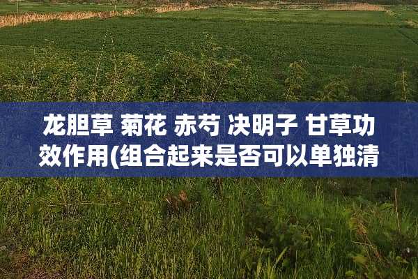 龙胆草 菊花 赤芍 决明子 甘草功效作用(组合起来是否可以单独清肝火)