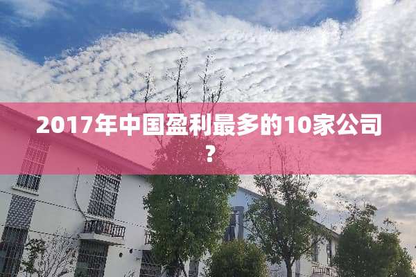 2017年中国盈利最多的10家公司？