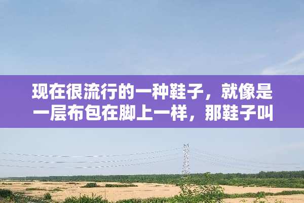 现在很流行的一种鞋子，就像是一层布包在脚上一样，那鞋子叫什么