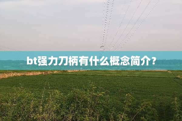 bt强力刀柄有什么概念简介？