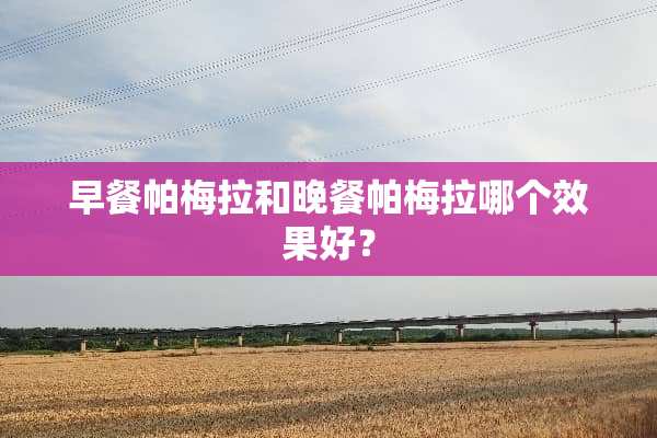 早餐帕梅拉和晚餐帕梅拉哪个效果好？
