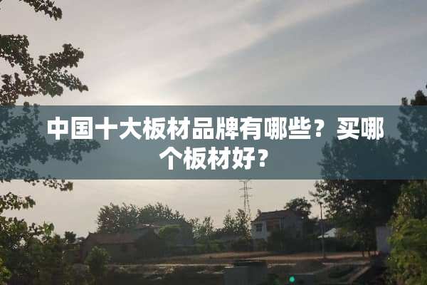 中国十大板材品牌有哪些？买哪个板材好？