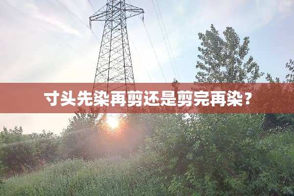 寸头先染再剪还是剪完再染？