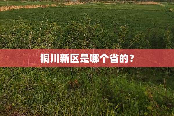 铜川新区是哪个省的？
