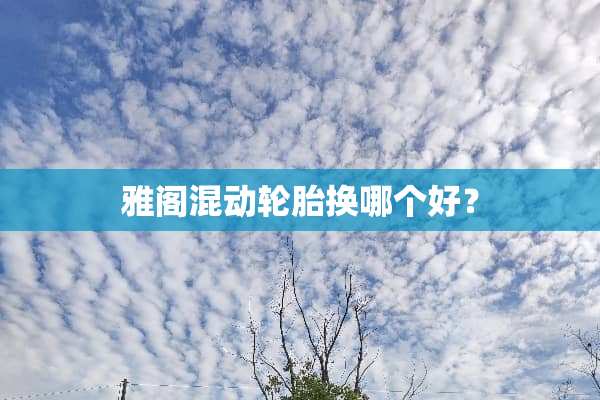 雅阁混动轮胎换哪个好？