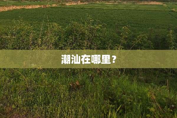 潮汕在哪里？