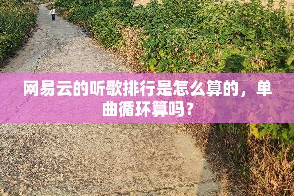 网易云的听歌排行是怎么算的，单曲循环算吗？