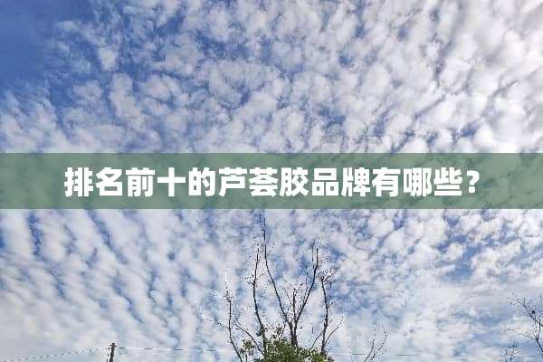 排名前十的芦荟胶品牌有哪些？