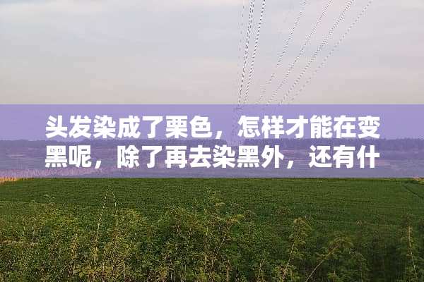 头发染成了栗色，怎样才能在变黑呢，除了再去染黑外，还有什么办法么？