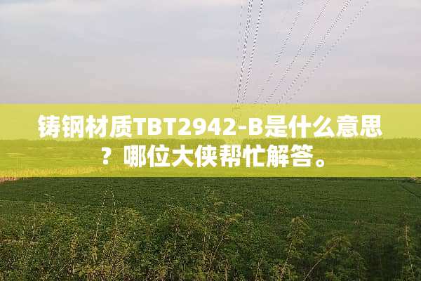 铸钢材质TBT2942-B是什么意思？哪位大侠帮忙解答。