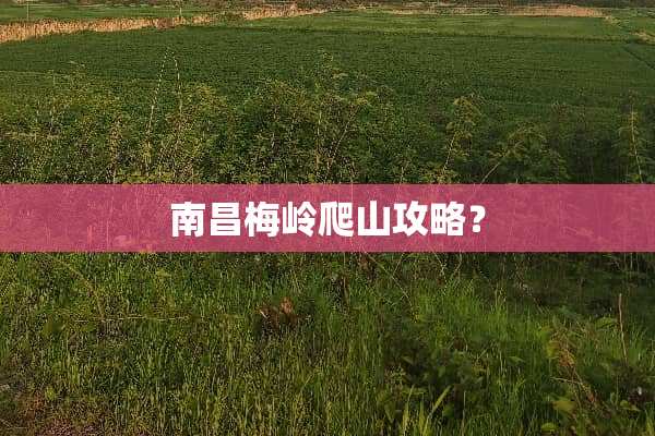 南昌梅岭爬山攻略？
