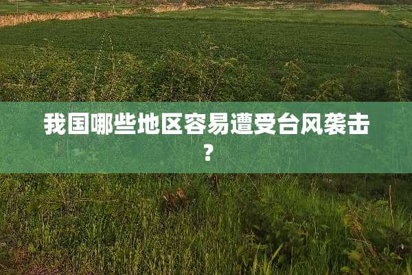 我国哪些地区容易遭受台风袭击？