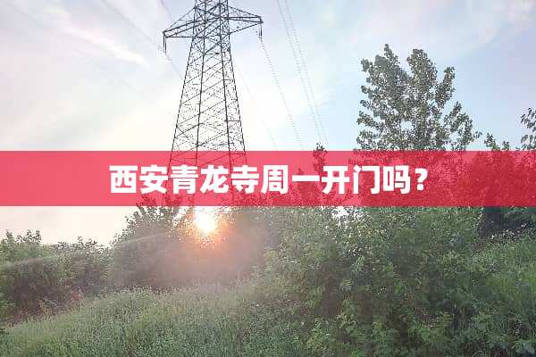 西安青龙寺周一开门吗？
