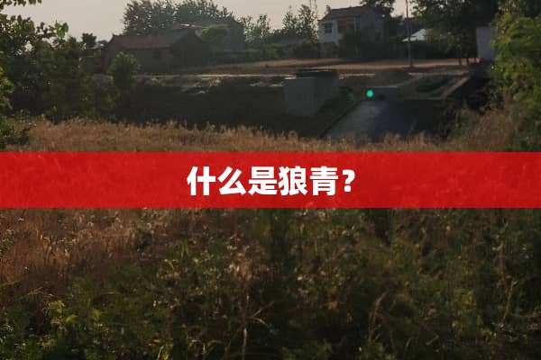 什么是狼青？