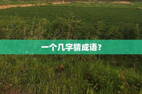 一个几字猜成语？