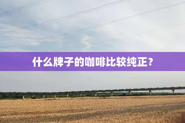 什么牌子的咖啡比较纯正？