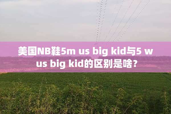 美国NB鞋5m us big kid与5 w us big kid的区别是啥？