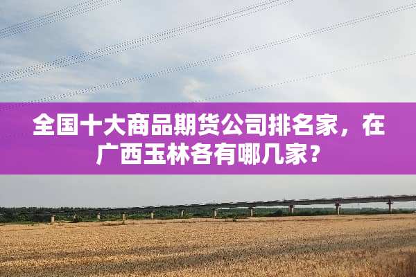 全国十大商品期货公司排名家，在广西玉林各有哪几家？