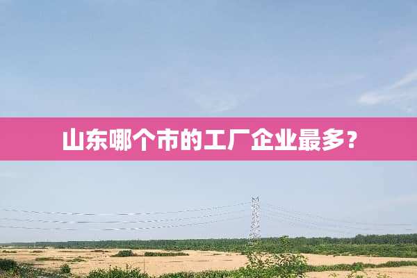 山东哪个市的工厂企业最多？