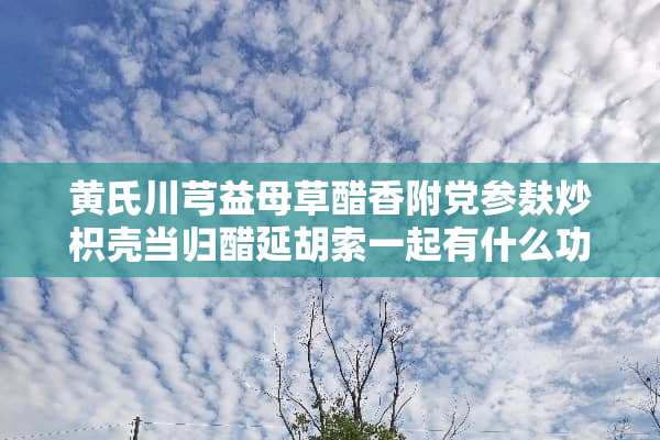 黄氏川芎益母草醋香附*参麸炒枳壳当归醋延胡索一起有什么功效