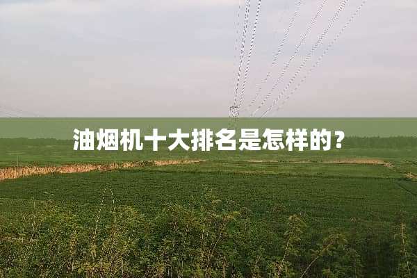 油烟机十大排名是怎样的？